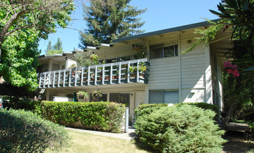 932 Dewing Ave in Lafayette, CA - Building Photo - Building Photo