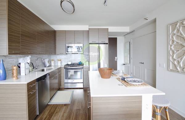 347 W Chestnut St in Chicago, IL - Building Photo - Building Photo