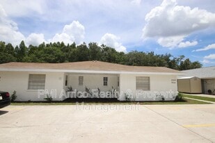 3253 Bloomingdale Villas Ct in Brandon, FL - Building Photo