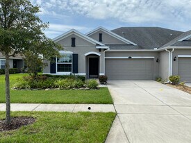 4439 Ashton Meadows Way in Wesley Chapel, FL - Building Photo