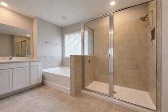 33546 Darley Dl Trl in Wesley Chapel, FL - Building Photo - Building Photo