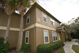 36232 Misty Oak Dr in Zephyrhills, FL - Building Photo