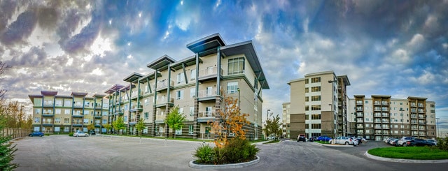 Bison Pointe