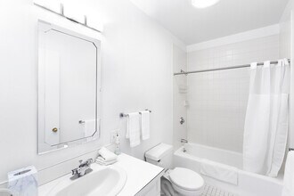 385 Commonwealth Ave in Boston, MA - Building Photo - Building Photo