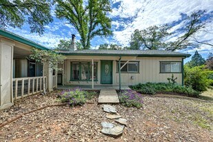 3210 Manzanita Ln in Meadow Vista, CA - Building Photo