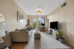 54 Rainey St in Austin, TX - Building Photo