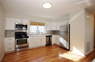 14 Dora St in Stamford, CT - Building Photo - Building Photo