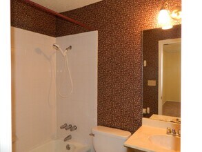8804 Springmail Cir in Austin, TX - Building Photo - Building Photo