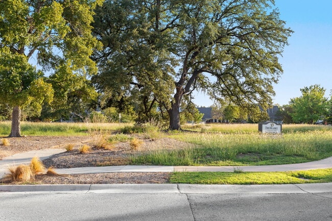 313 Greenside Ln in Georgetown, TX - Building Photo - Building Photo