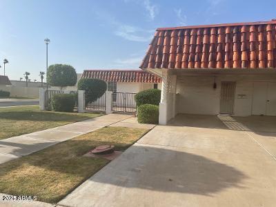 10636 W Deanne Dr in Sun City, AZ - Building Photo