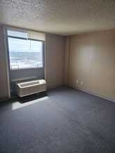 Geneva Towers in Cedar Rapids, IA - Building Photo - Building Photo