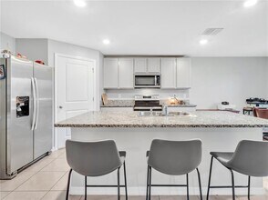 16636 Windmill Forge Pass in Wimauma, FL - Building Photo - Building Photo