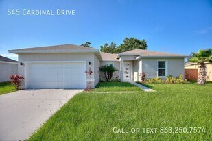 545 Cardinal Dr in Kissimmee, FL - Building Photo