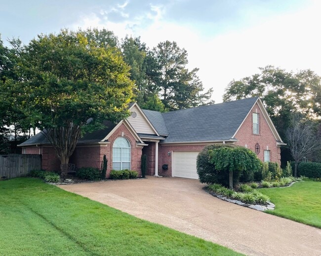 property at 11244 Black Sheep Dr