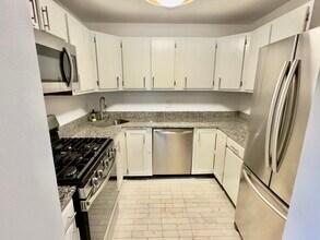 559 W Surf St, Unit 501 in Chicago, IL - Building Photo - Building Photo