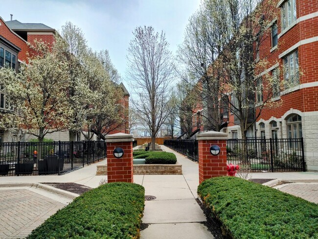 331 E 17th St in Chicago, IL - Building Photo - Building Photo