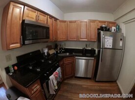 241 Freeman St in Brookline, MA - Building Photo