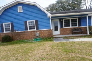 207 Berry Ct in Castle Hayne, NC - Building Photo