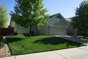 7468 Skyline Way in Longmont, CO - Building Photo
