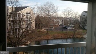 20602 Cornstalk Terrace in Ashburn, VA - Building Photo