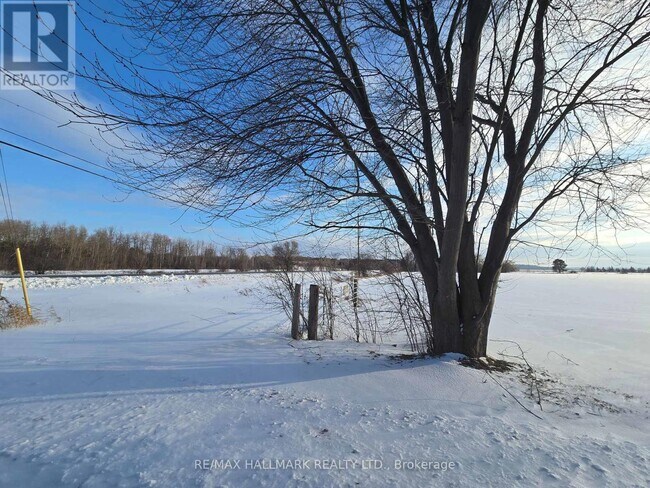 22156 Leslie St in East Gwillimbury, ON - Building Photo - Building Photo
