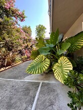 Four Palms in Mountain View, CA - Building Photo - Building Photo