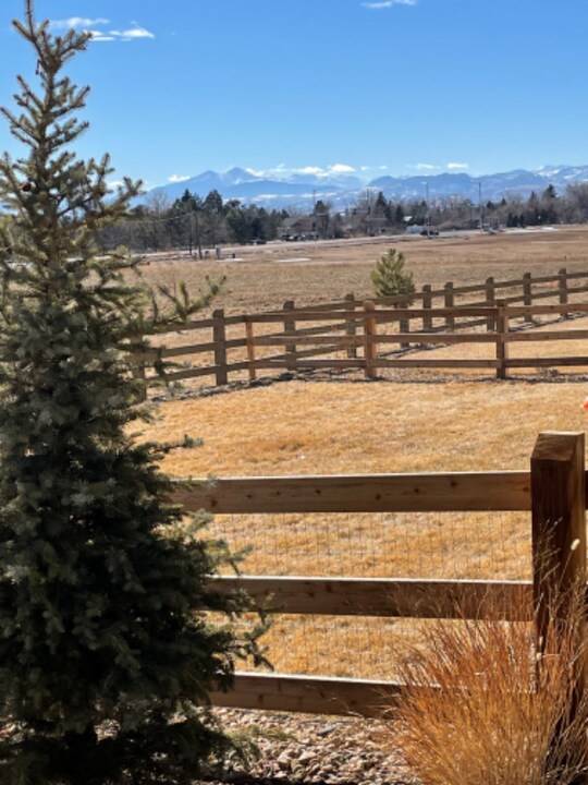 5383 Homeward Dr in Timnath, CO - Building Photo