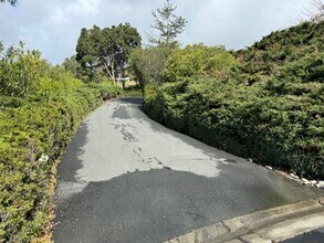 3 Bel Air Ct in Orinda, CA - Building Photo - Building Photo