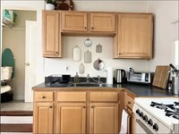 217 Park Pl, Unit Studio in Ithaca, NY - Building Photo - Building Photo