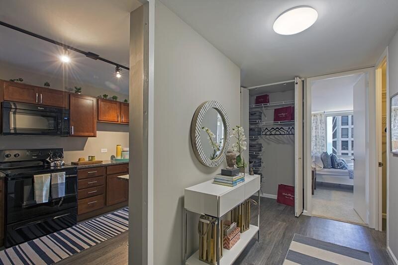 880 N Dewitt Pl in Chicago, IL - Building Photo