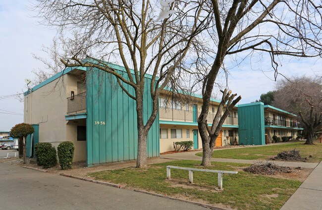 Lincoln Patio Apartments in Livermore, CA - Building Photo - Building Photo