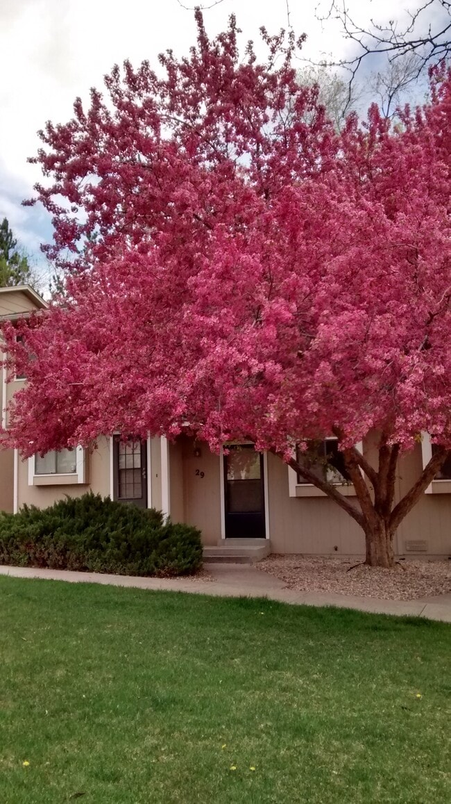 1440 Edora Rd, Unit #29