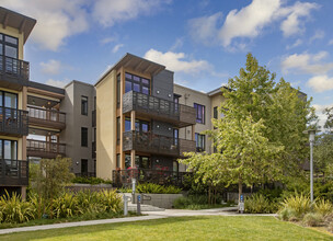 University Terrace in Palo Alto, CA - Foto de edificio - Building Photo