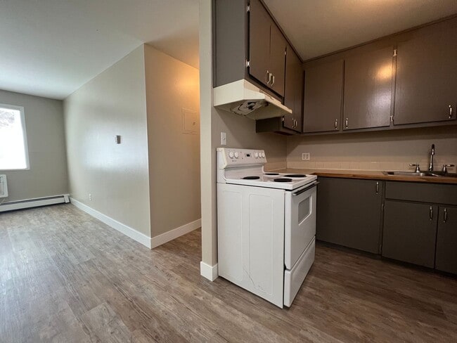 327 Mathews St in Fort Collins, CO - Foto de edificio - Building Photo