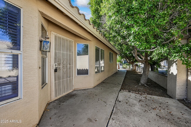 641 E Gail Dr in Chandler, AZ - Building Photo - Building Photo