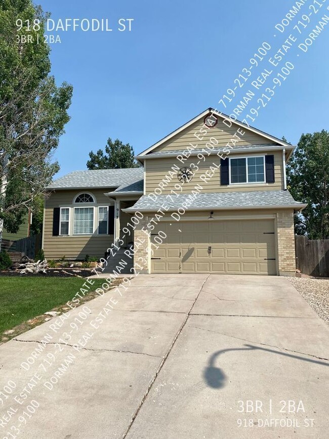 918 Daffodil St in Fountain, CO - Building Photo - Building Photo