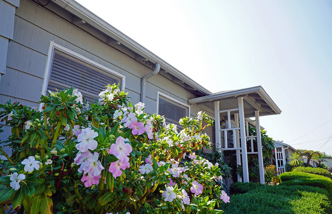 163rd Ave in San Leandro, CA - Foto de edificio - Building Photo