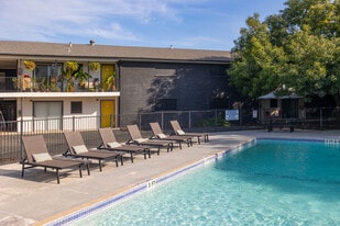 Primrose HAUS in New Braunfels, TX - Building Photo