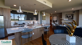 1414 Wood Hollow Dr in Houston, TX - Building Photo