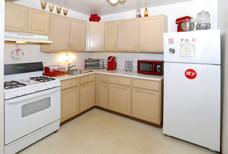 Ginger Ridge Apartments in Calumet City, IL - Building Photo - Interior Photo