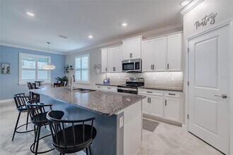 31565 Cannon Rush Dr in San Antonio, FL - Building Photo - Building Photo