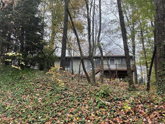 property at 47 Wildflower Ln