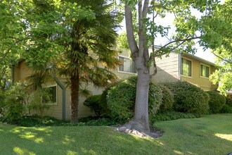 Park Place Apartments in Santa Rosa, CA - Building Photo - Building Photo