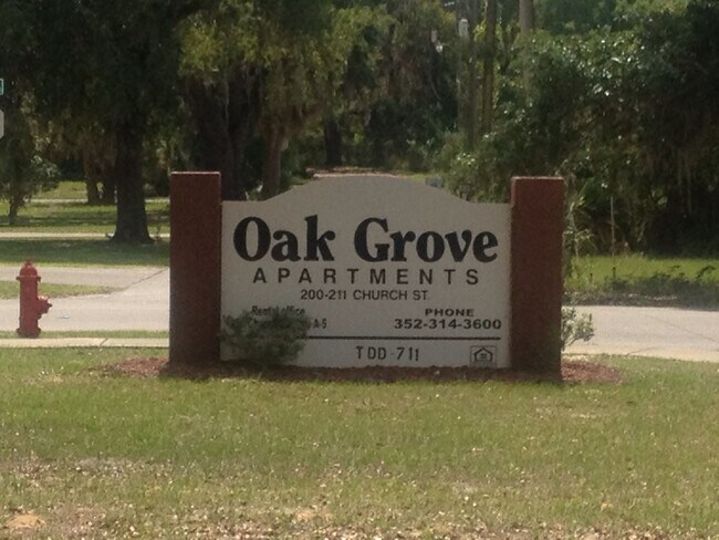 200 Church St in Leesburg, FL - Foto de edificio - Building Photo