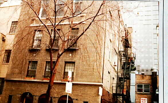 19 E Cedar St in Chicago, IL - Building Photo - Building Photo