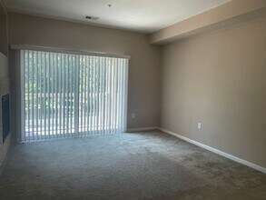 804 Summer Hawk Dr in Longmont, CO - Building Photo - Building Photo