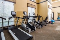 Fitness Center - Millenia 700 Apartments in Orlando, Florida