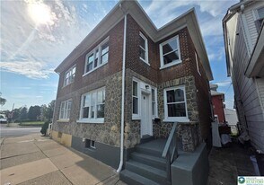 161 W Wilkes Barre St in Easton, PA - Building Photo