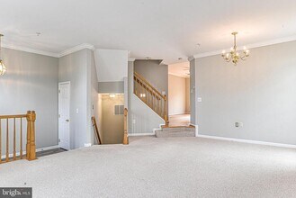 6237 Frosty Winter Ct in Centreville, VA - Building Photo - Building Photo