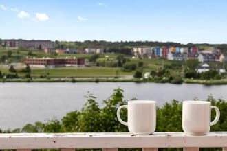 171 Forest Rd, Unit SI FL2-ID1438802P in St John's, NL - Building Photo - Building Photo